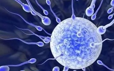 长春三代试管婴儿价格表一目了然，具体费用是不是因人而异？