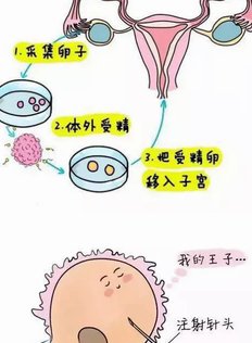 鸡西恒山区哪家医院提供试管婴儿服务？