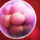 分析导致三代试管婴儿失败的主要原因，年龄因素也还是很关键的