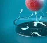 上海瑞金医院做试管成功率有多少？做三代试管一般要多少钱？