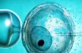 第三代试管婴儿能100%生孩子吗？揭秘国内试管助孕生子骗局