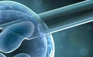 试管婴儿囊胚移植必看，这些情况千万别移植，禁忌事项全知道