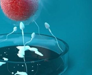 重庆三代试管生孩子价格，去重庆做试管生孩子要多少钱？